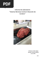 Informe de Laboratorio