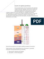 Aplicación de Registros Petrofísicos