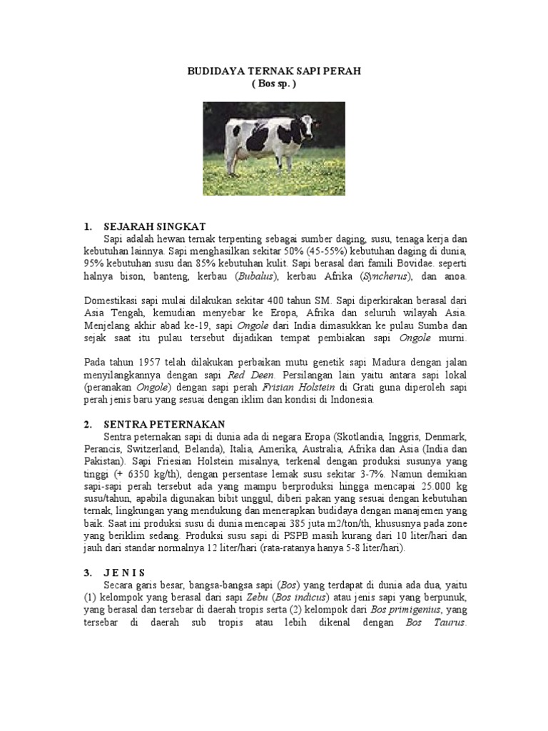 Budidaya Ternak Sapi Perah | PDF