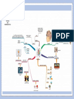 Neuro Didactic A