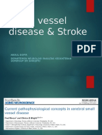 Small Vessel Disease and Stroke-Gofir - 2