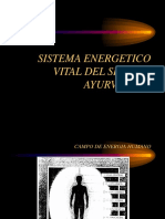 Sistema Energético Aryurvedico