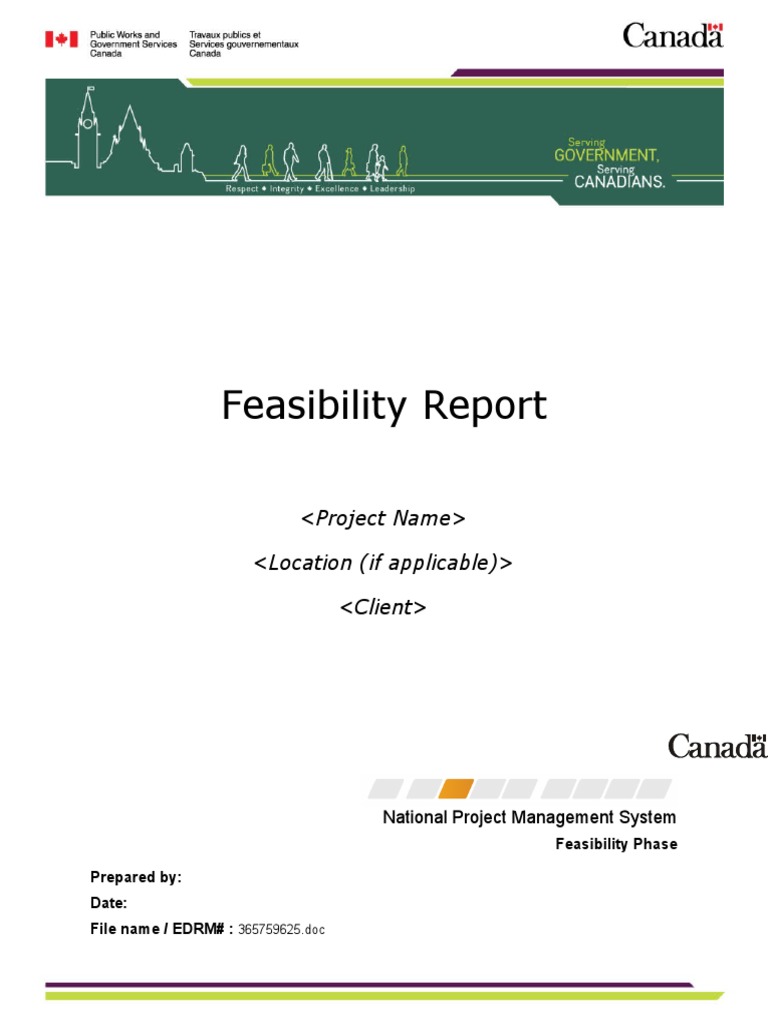 Project Feasibility Report Overview | PDF | Feasibility Study | Risk
