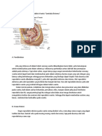 Anatomi Fisiologi Organ Reproduksi Wanita.docx