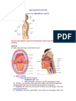 Digestive System