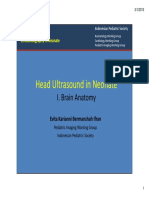 Head Ultrasound Anatomy in Neonates