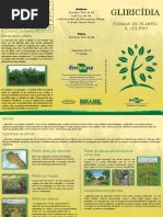 Folder Plantio Gliricidia
