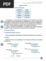 Morfologia