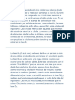 La Fase G1 Es El Periodo Del Ciclo Celular Que Abarca Desde Que Termina La Fase M Hasta Que Comienza La Fase S