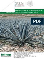 Zúñiga, 2013 - Nutrición de Agave Tequilana y Manejo de Los Fertilizantes en Un Sistema de Producción Intensiva (Riego Por Goteo) PDF