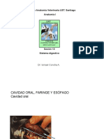 Parasitologia_9788477239109.pdf