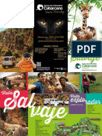 Visita Salvaje Parque de La Naturaleza de Cabarceno PDF