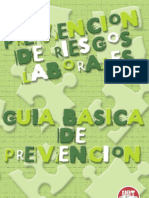 Prevencion de Riesgos GUIABASICA PDF
