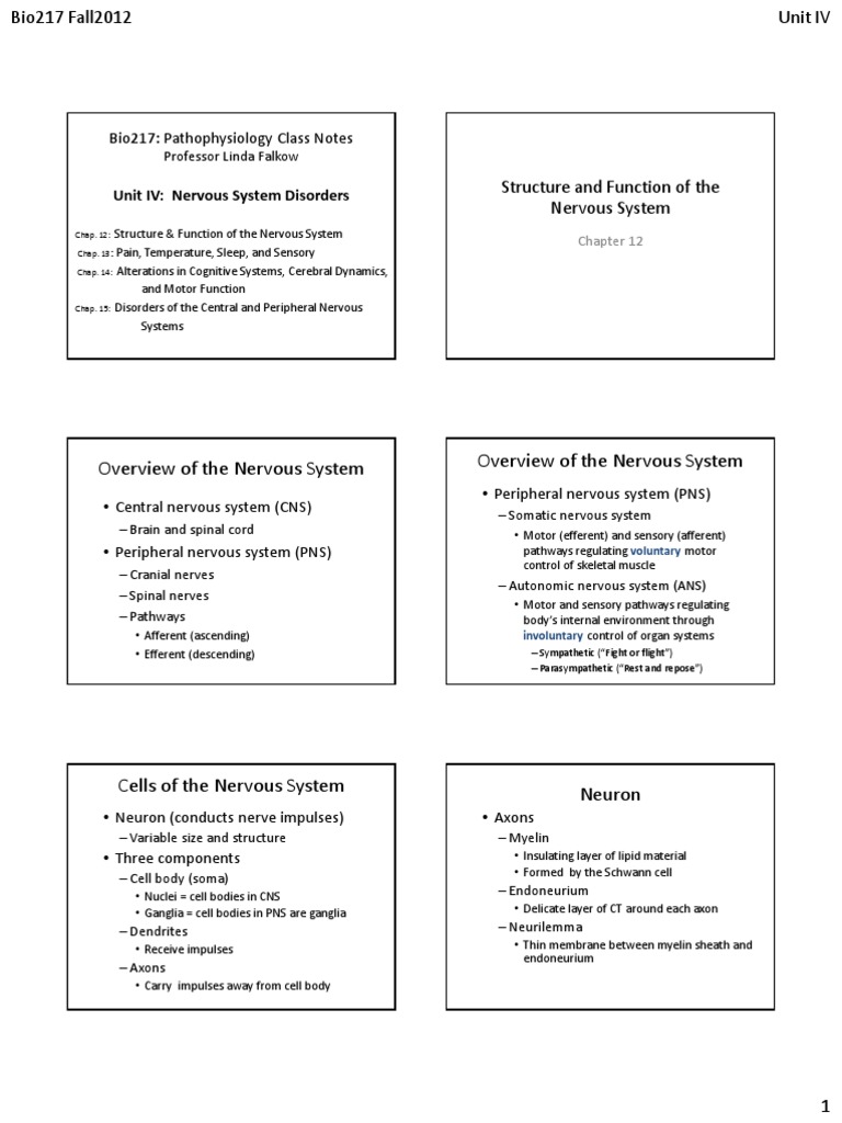 Overview of The Nervous System Overview of The Nervous System | PDF ...