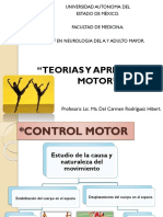 Teorías del control motor jerárquico y programación motora