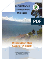 1303 Sumbar Kab Solok 2015 PDF