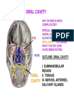 OralCavityLectureff.pdf