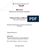 DM-TR-2013.pdf