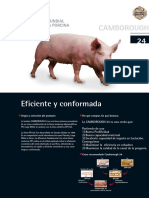 FichaC24.pdf