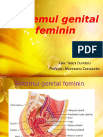 Aparatu Genital Feminin