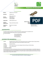 Fichapsilido.pdf