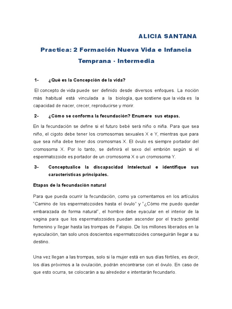 Qué Es La Concepción de La Vida