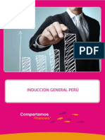Induccion General Peru PDF