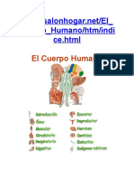 296116689-El-cuerpo-humano-docx.pdf