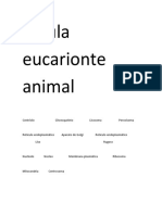 Célula Eucarionte Animal