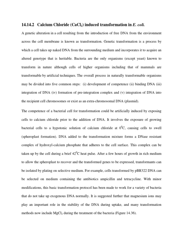 Calcium Chloride Induce Transformation PDF Transformation