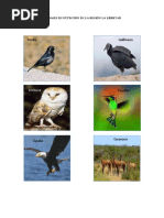 Download Animales en Extincin en La Regin La Libertad by Cone Buby SN358845653 doc pdf