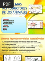 Sistema Reproductor Animales