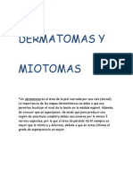 dermatomatomas- reflejos.doc