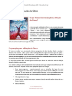 A Benção do ùtero - introdução.pdf
