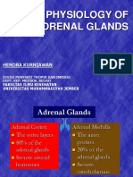 Kelenjar Adrenal