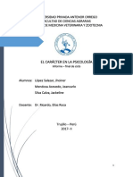 Informe Psicologia Final