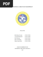 Download Diagnosa Cairan Dan Elektrolit by Reffy Shania Novianti SN358864643 doc pdf