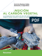 La Transición Al Carbón Vegetal: Resumen