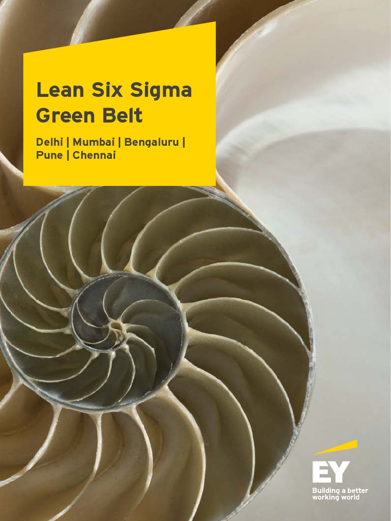 Lean Six Sigma Green Belt Training & Certification Program - EY India ...