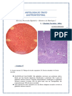 Histologia Do Trato Gastrointestinal