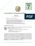 lab7 (1).pdf