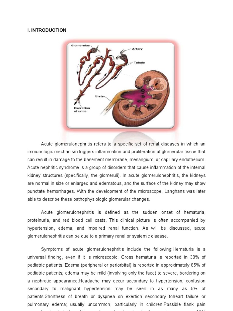 Glomerulonephritis case study pdf image