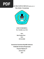 Download MAKALAH TANAMAN OBAT JINTAN HITAMdocx by Binti Maulina SN358875257 doc pdf