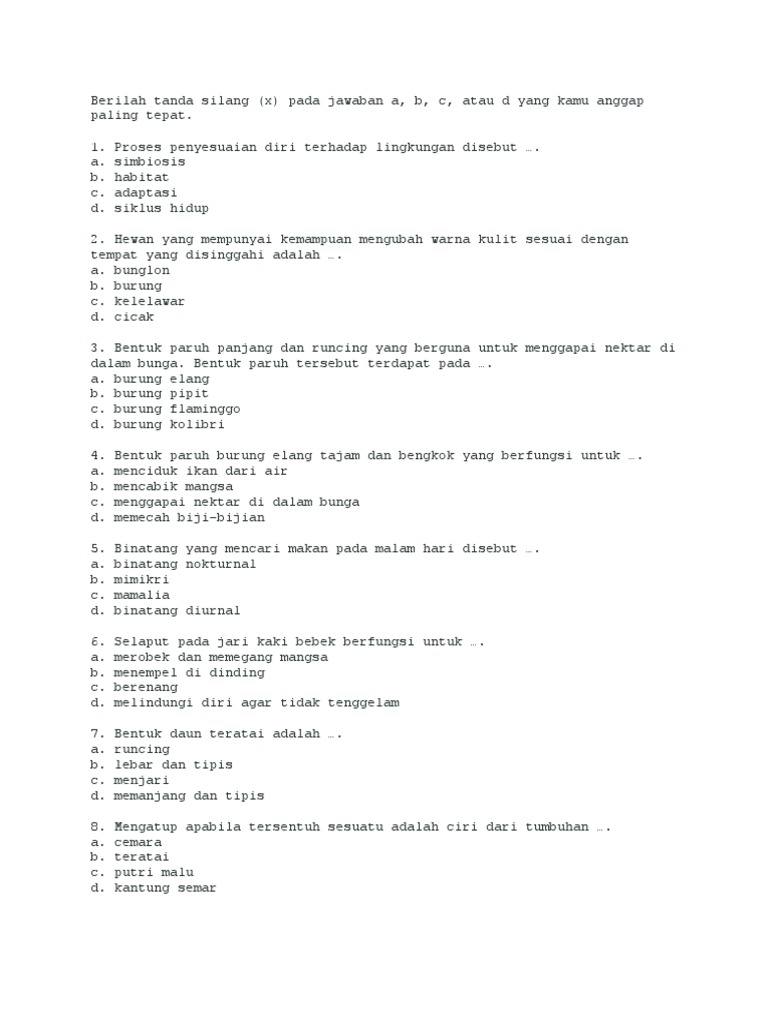 Soal Adaptasi 1 Pdf