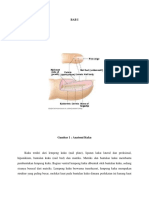 Makalah Rozerplasty Sebelum Revisi