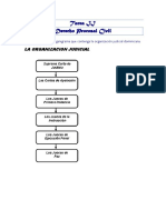 Bm-Tarea II Derecho Procesal Civil-Evelin Trinidad