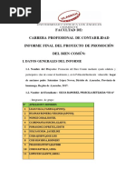 Informe Final de Proyecto de Promocion Del Bien Comun.