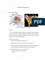 Laporan Pendahuluan Vertigo