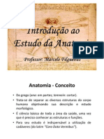 Introdução Ao Estudo Da Anatomia