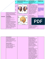 Psicofisiologia Cuadro Yai (3)